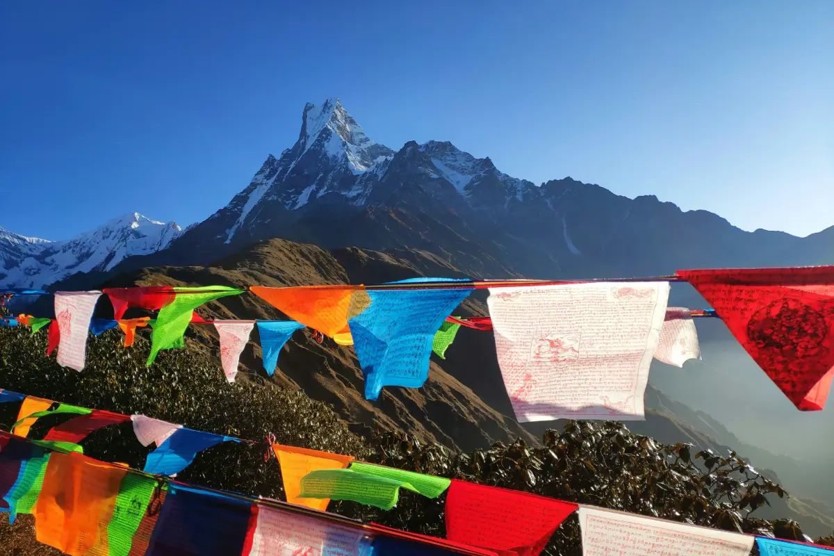 Buntings on Mountains