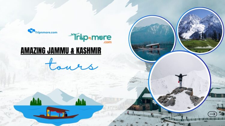 Amazing Kashmir