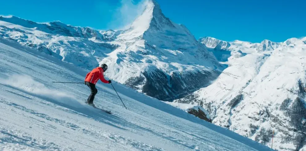 2013e764f2eaa2c493ffbeded4a558ba6438d574