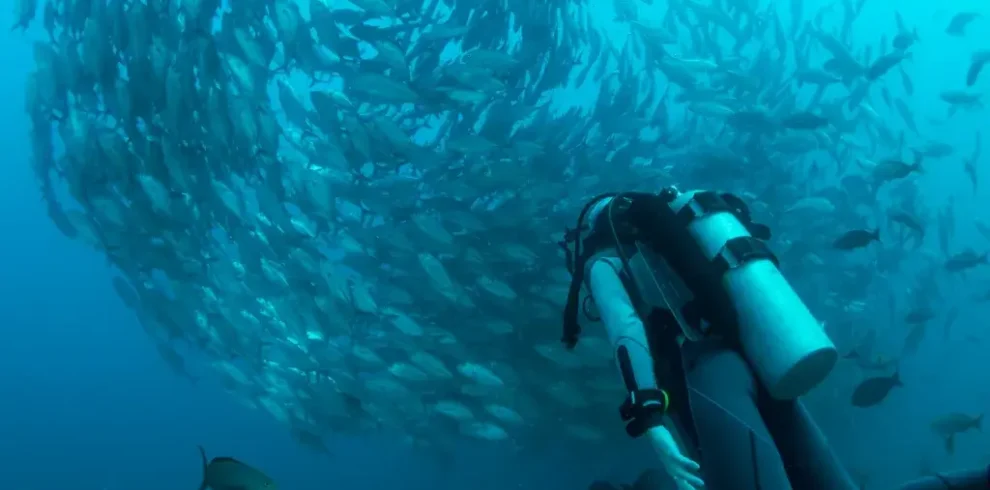 42ce7e192aeb94973f533b3c0eb1e03d086a9791