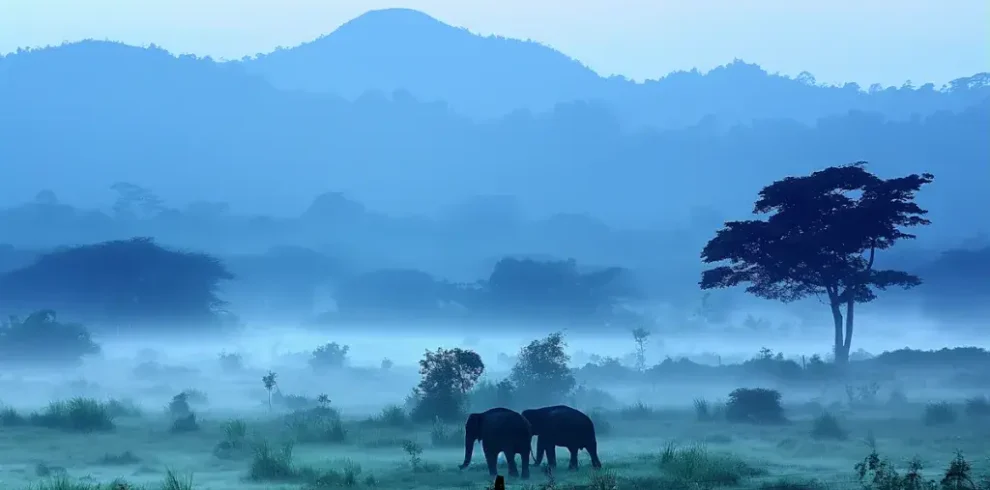 5deb8ceeda4d4a0ea53083cf68e7be32dc724818